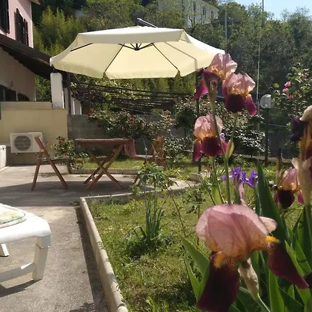 Alle Rose Barcolane Oda ve Kahvaltı