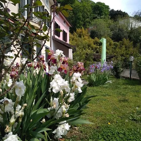 Alle Rose Barcolane 3* Τεργέστη