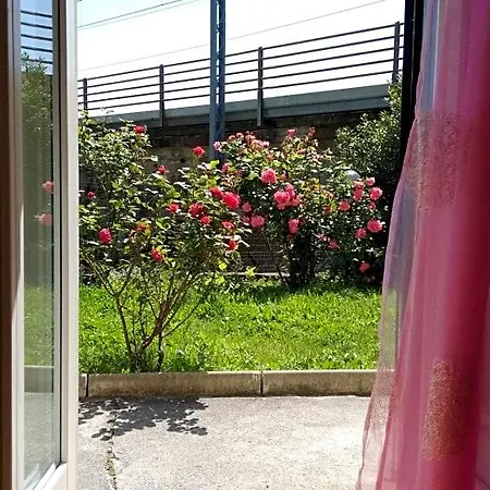 Bed and Breakfast Alle Rose Barcolane Τεργέστη