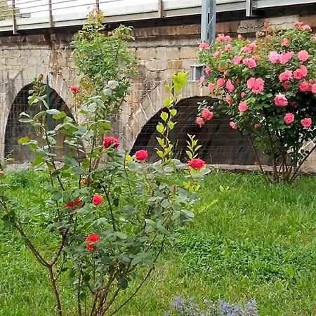 Bed and Breakfast Alle Rose Barcolane 3*