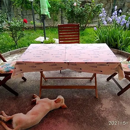 Bed and Breakfast Alle Rose Barcolane 3*