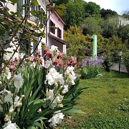 Bed and Breakfast Alle Rose Barcolane Τεργέστη